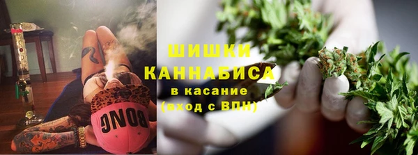 меф Арсеньев