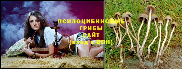 меф Арсеньев